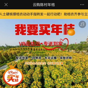 陈村年桔已售出8成，VR全景还能“去库存”？