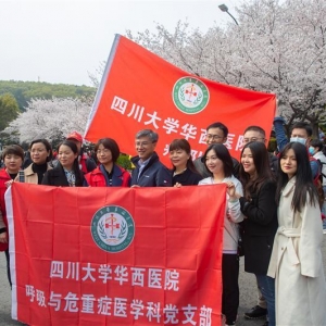 踏春啦！VR全景云赏武大樱花